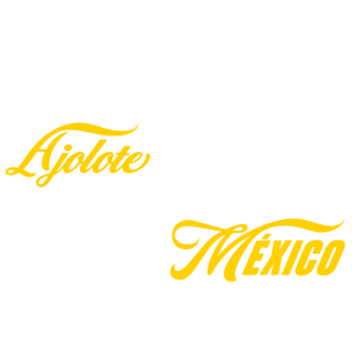 somos artesanos