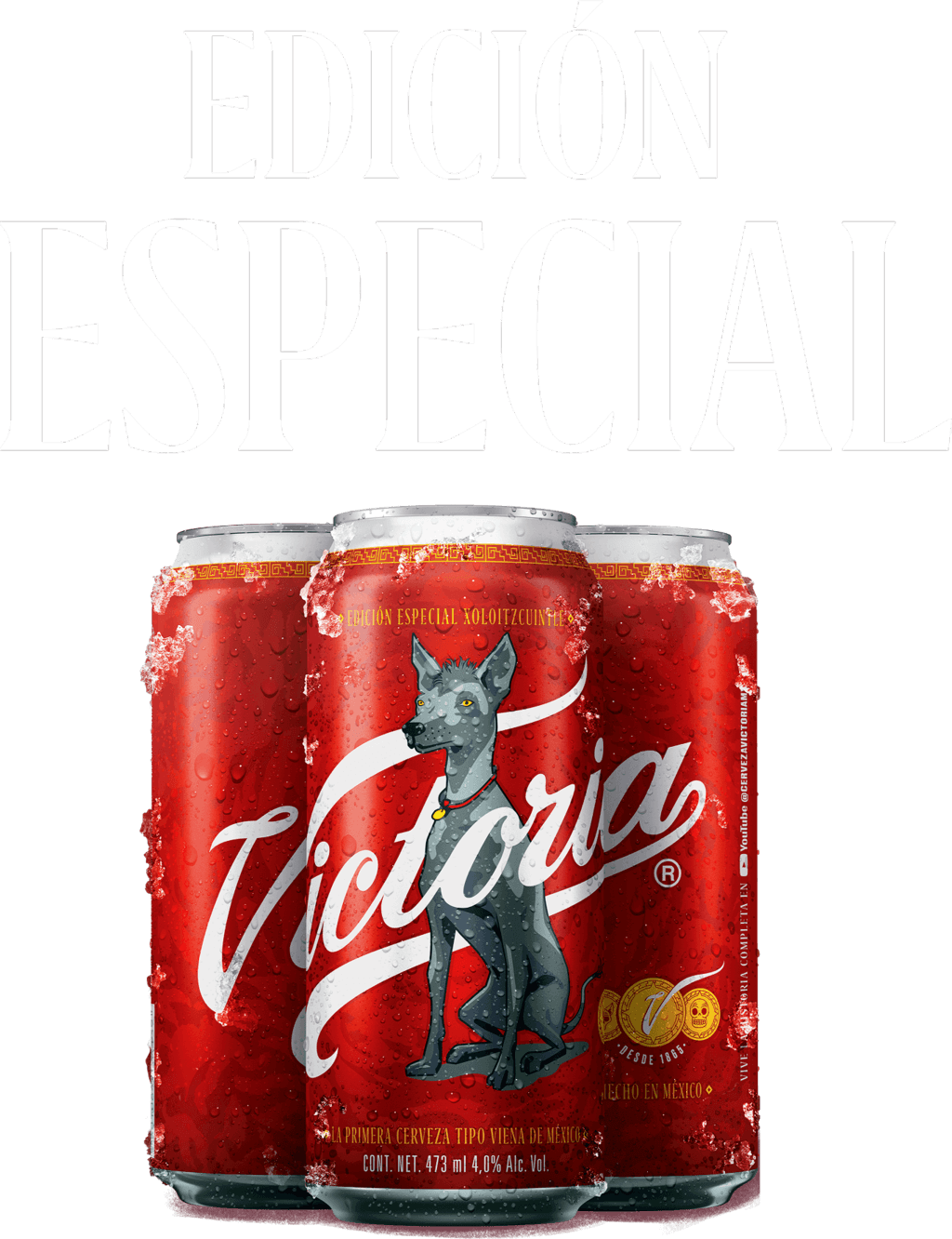 edicion especial
