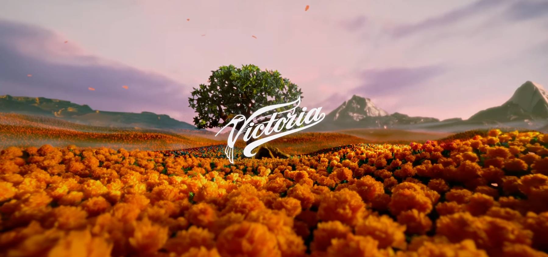Video victoria home