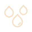Icon Ingredient